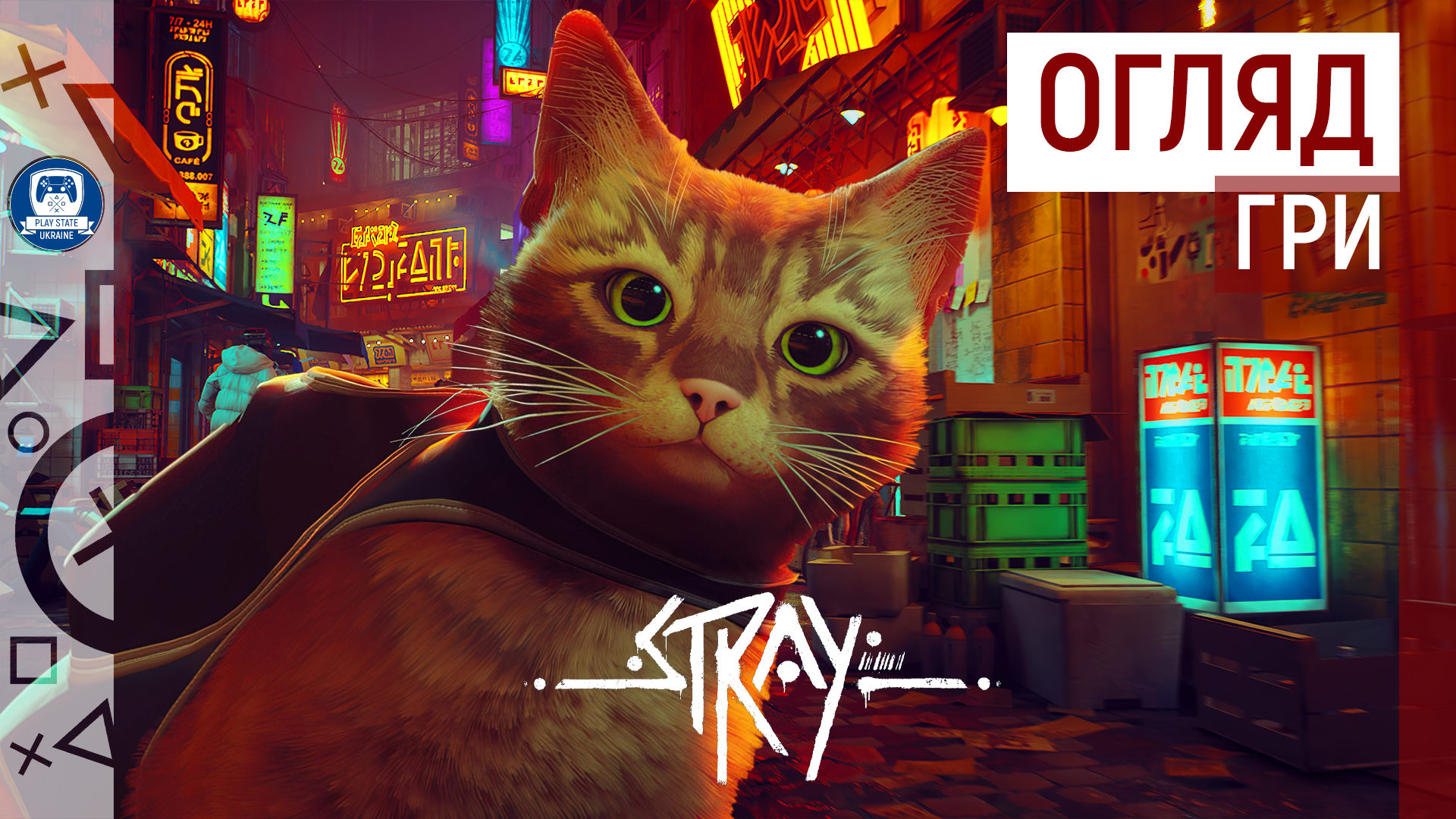 😻 СВІТОМ ПРАВЛЯТЬ КОТИКИ | ОГЛЯД STRAY